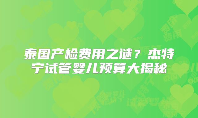 泰国产检费用之谜？杰特宁试管婴儿预算大揭秘