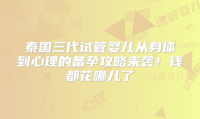 泰国三代试管婴儿从身体到心理的备孕攻略来袭！钱都花哪儿了