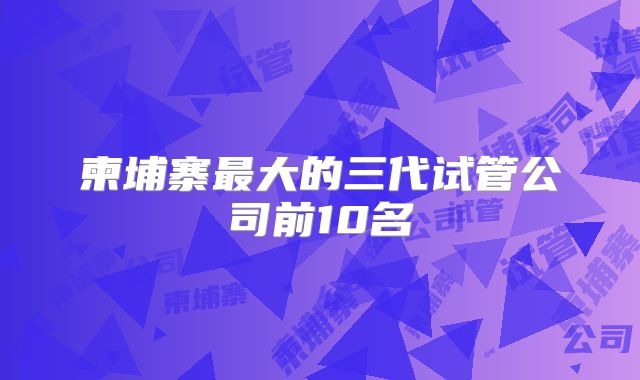 柬埔寨最大的三代试管公司前10名