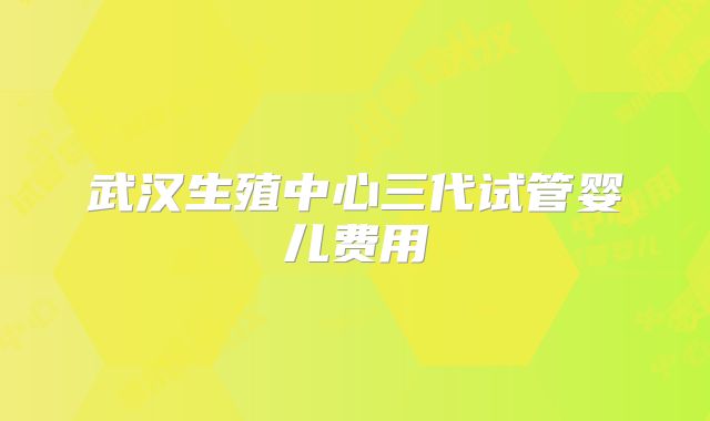 武汉生殖中心三代试管婴儿费用