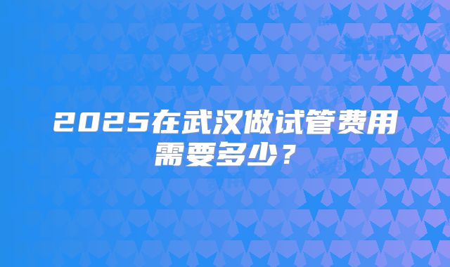 2025在武汉做试管费用需要多少?