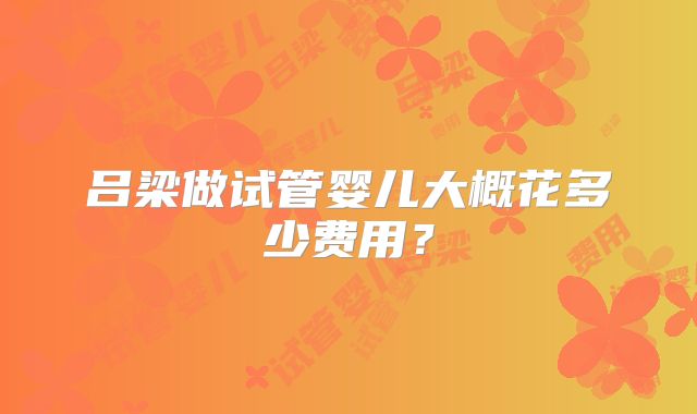吕梁做试管婴儿大概花多少费用？