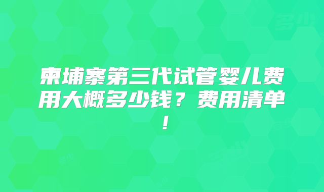 柬埔寨第三代试管婴儿费用大概多少钱?费用清单!