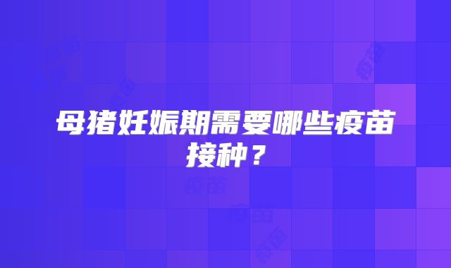 母猪妊娠期需要哪些疫苗接种？