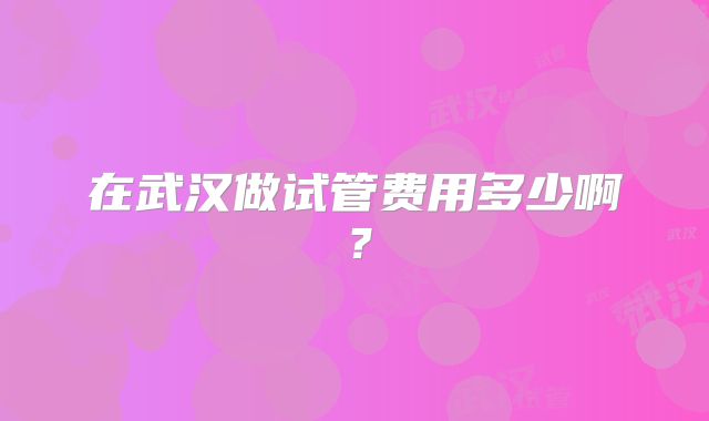 在武汉做试管费用多少啊?