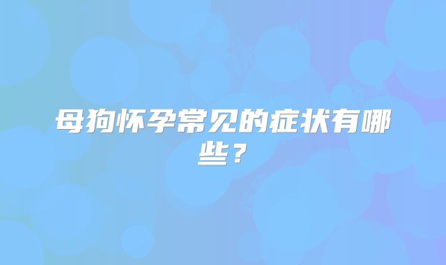 母狗怀孕常见的症状有哪些?