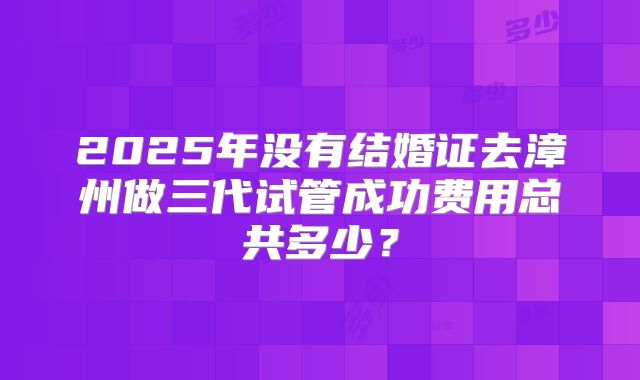 2025年没有结婚证去漳州做三代试管成功费用总共多少?