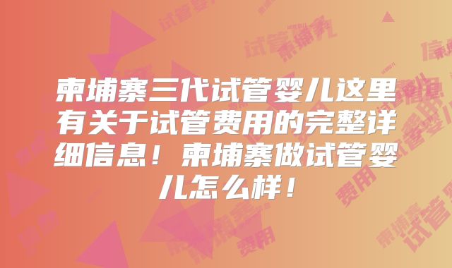 柬埔寨三代试管婴儿这里有关于试管费用的完整详细信息！柬埔寨做试管婴儿怎么样！