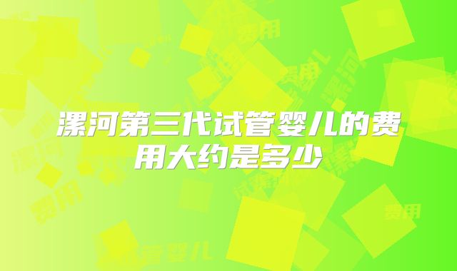 漯河第三代试管婴儿的费用大约是多少