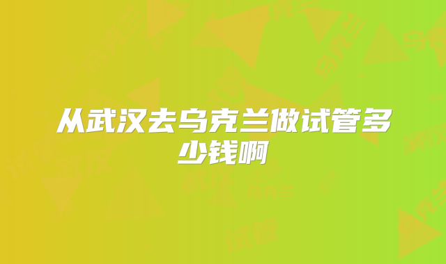 从武汉去乌克兰做试管多少钱啊