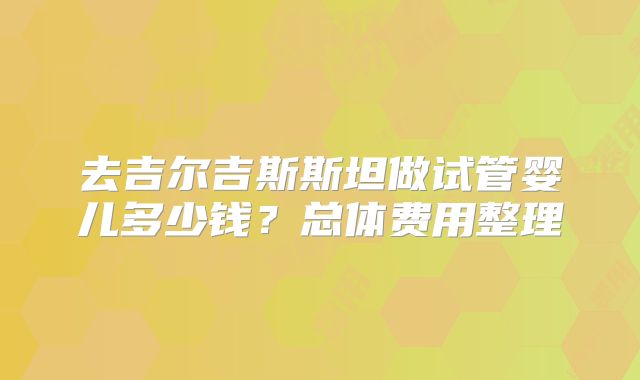 去吉尔吉斯斯坦做试管婴儿多少钱?总体费用整理