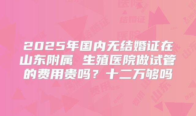 2025年国内无结婚证在山东附属 生殖医院做试管的费用贵吗？十二万够吗