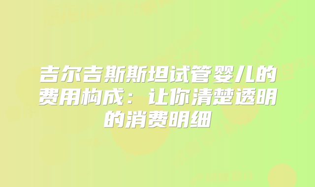 吉尔吉斯斯坦试管婴儿的费用构成:让你清楚透明的消费明细