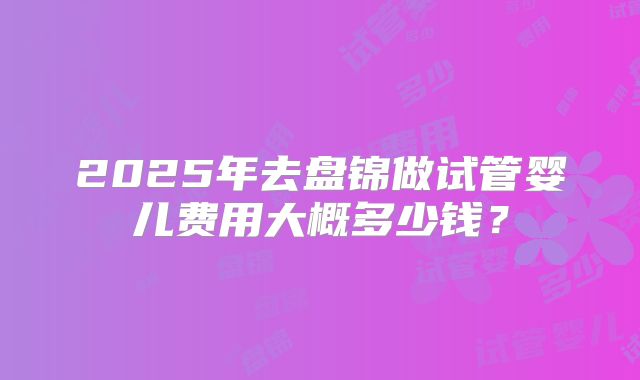 2025年去盘锦做试管婴儿费用大概多少钱?