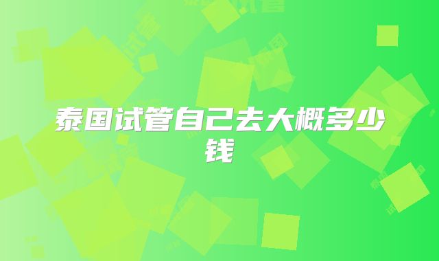 泰国试管自己去大概多少钱