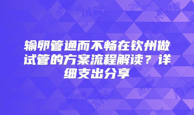 输卵管通而不畅在钦州做试管的方案流程解读?详细支出分享