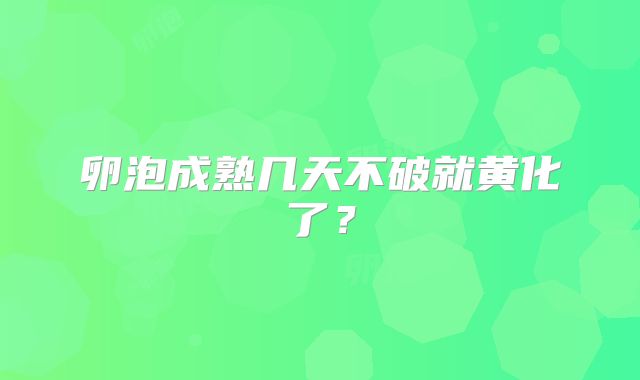 卵泡成熟几天不破就黄化了？
