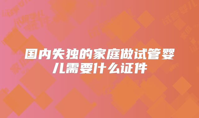 国内失独的家庭做试管婴儿需要什么证件
