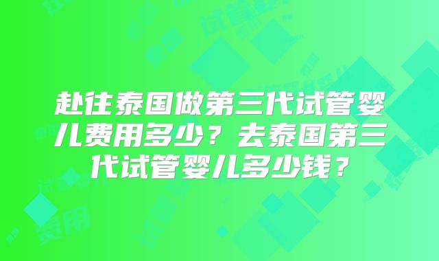 赴往泰国做第三代试管婴儿费用多少？去泰国第三代试管婴儿多少钱？