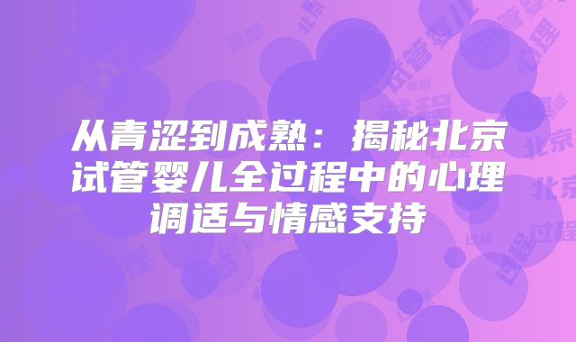 从青涩到成熟：揭秘北京试管婴儿全过程中的心理调适与情感支持