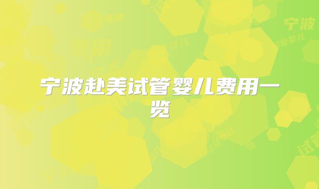 宁波赴美试管婴儿费用一览