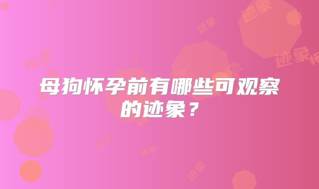 母狗怀孕前有哪些可观察的迹象？