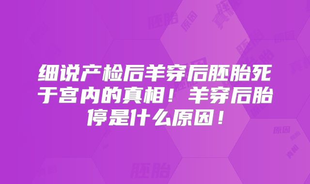 细说产检后羊穿后胚胎死于宫内的真相!羊穿后胎停是什么原因!