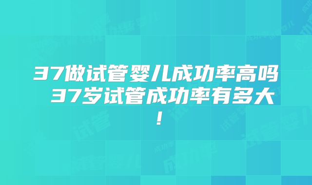 37做试管婴儿成功率高吗 37岁试管成功率有多大！