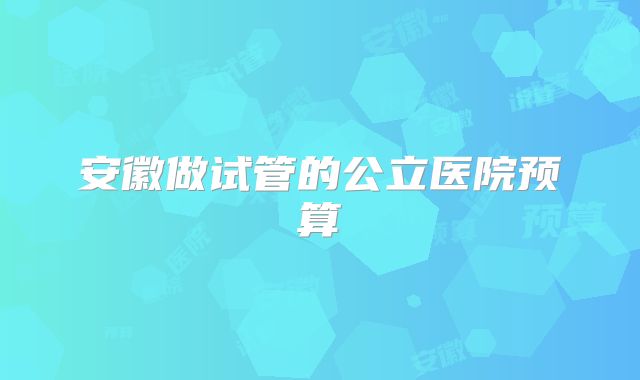 安徽做试管的公立医院预算