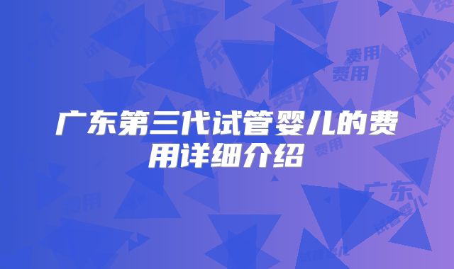 广东第三代试管婴儿的费用详细介绍