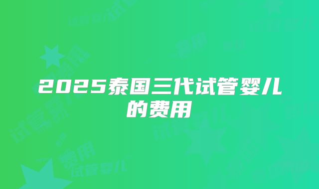 2025泰国三代试管婴儿的费用