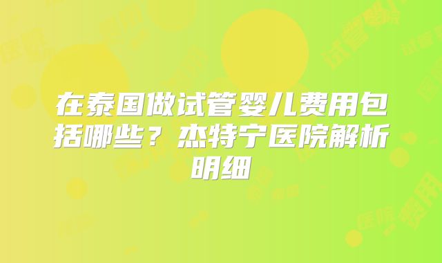 在泰国做试管婴儿费用包括哪些？杰特宁医院解析明细