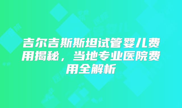 吉尔吉斯斯坦试管婴儿费用揭秘，当地专业医院费用全解析