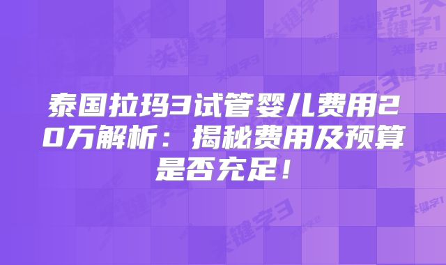 泰国拉玛3试管婴儿费用20万解析:揭秘费用及预算是否充足!