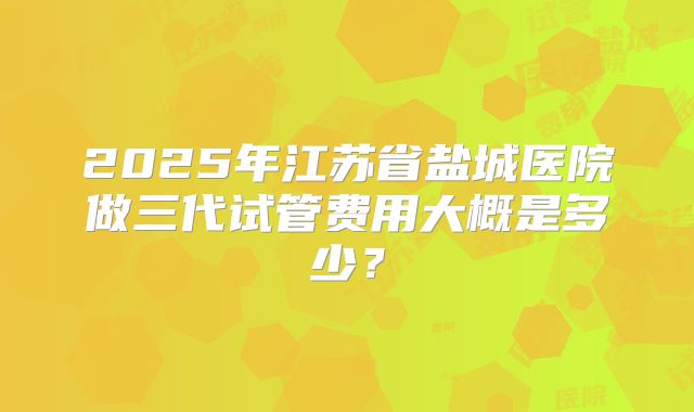 2025年江苏省盐城医院做三代试管费用大概是多少？
