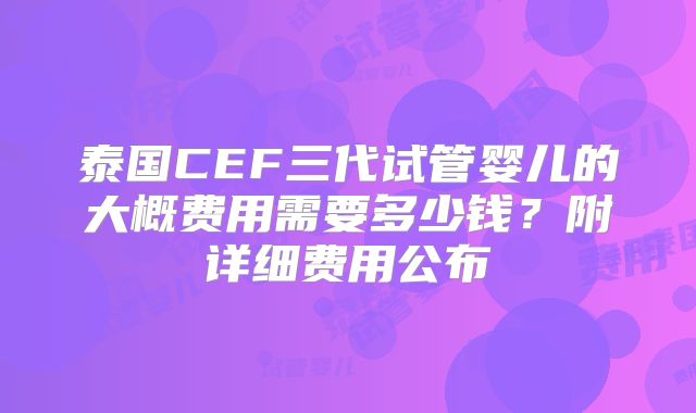 泰国CEF三代试管婴儿的大概费用需要多少钱?附详细费用公布