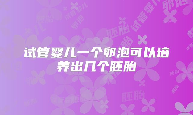 试管婴儿一个卵泡可以培养出几个胚胎