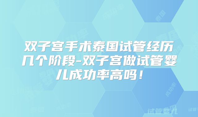 双子宫手术泰国试管经历几个阶段-双子宫做试管婴儿成功率高吗!