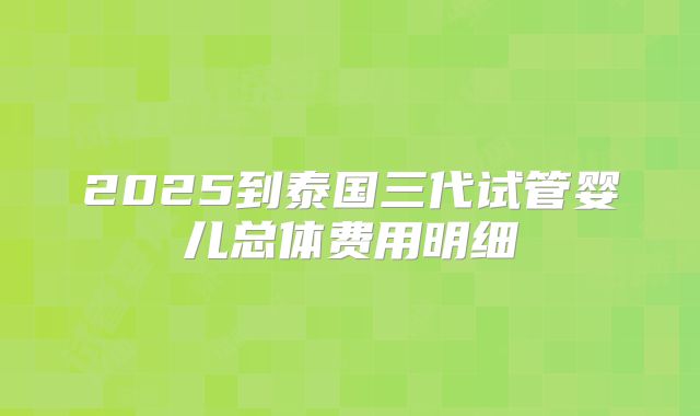 2025到泰国三代试管婴儿总体费用明细