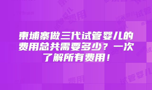 柬埔寨做三代试管婴儿的费用总共需要多少?一次了解所有费用!