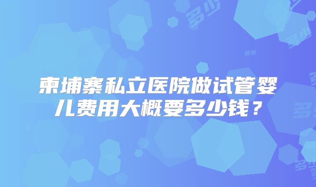 柬埔寨私立医院做试管婴儿费用大概要多少钱?