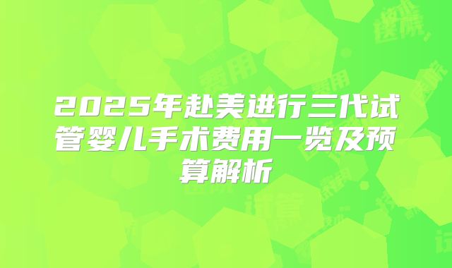 2025年赴美进行三代试管婴儿手术费用一览及预算解析