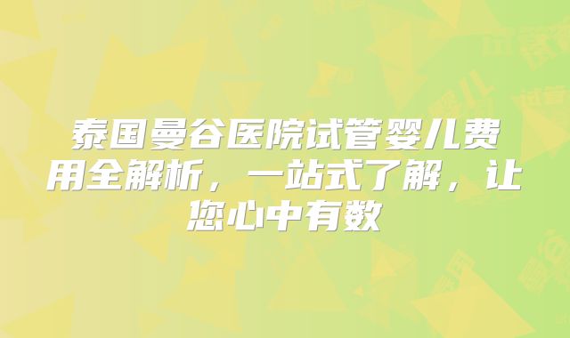泰国曼谷医院试管婴儿费用全解析，一站式了解，让您心中有数