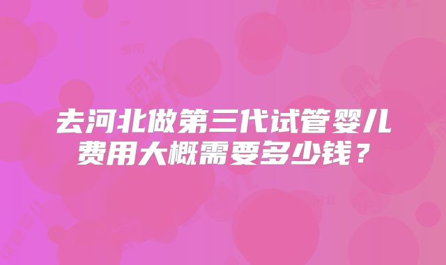 去河北做第三代试管婴儿费用大概需要多少钱?