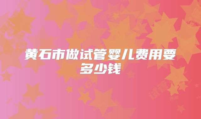 黄石市做试管婴儿费用要多少钱