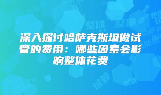 深入探讨哈萨克斯坦做试管的费用:哪些因素会影响整体花费