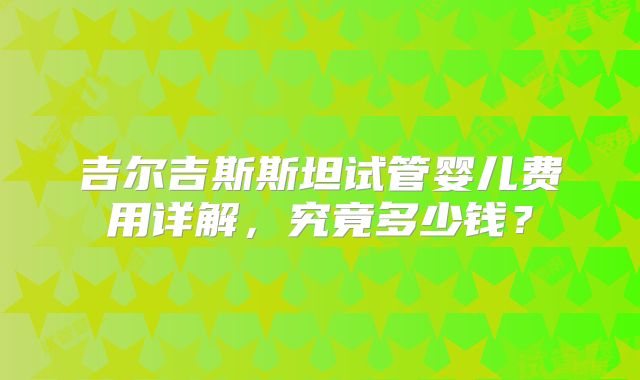 吉尔吉斯斯坦试管婴儿费用详解，究竟多少钱？