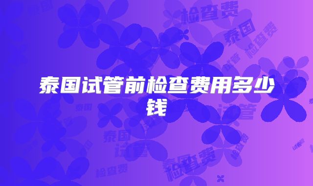 泰国试管前检查费用多少钱