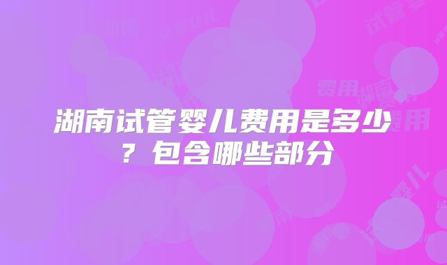 湖南试管婴儿费用是多少？包含哪些部分