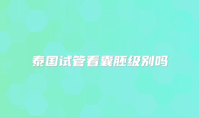 泰国试管看囊胚级别吗